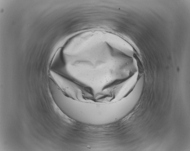 X0000066101532200604071810