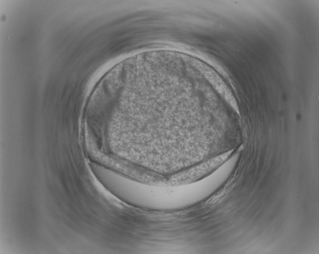 X0000066101535200604071810