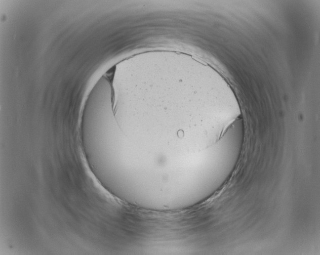 X0000066101536200604071810