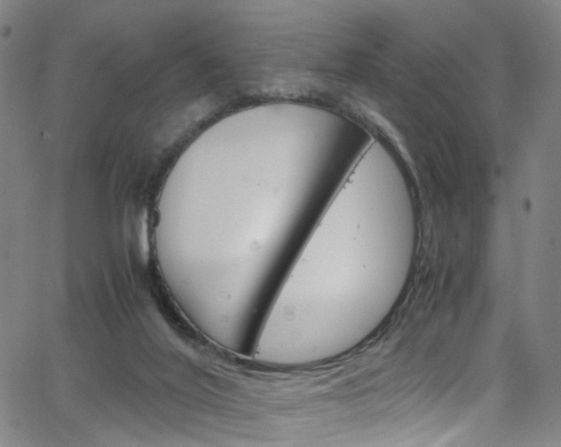 X0000066110020200603101015