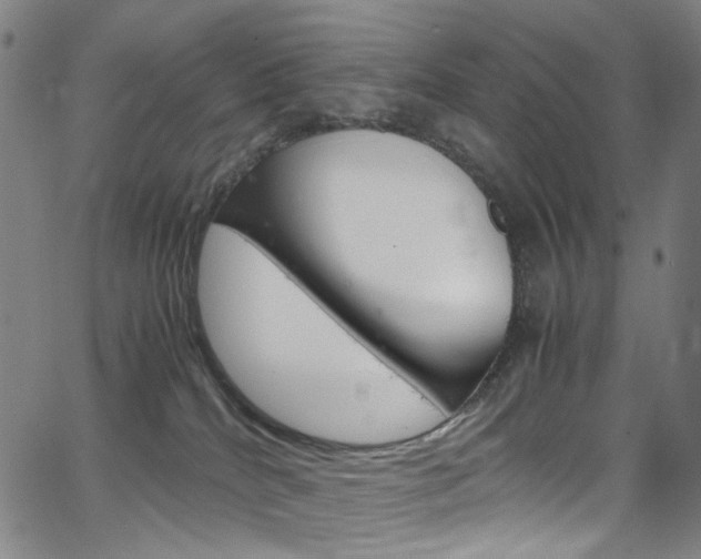 X0000066110040200603101014