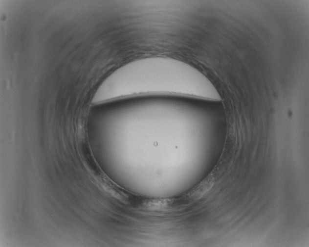 X0000066110084200603101014