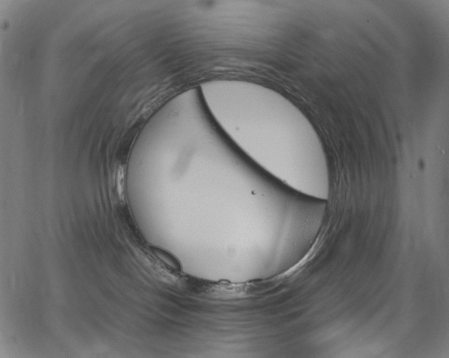 X0000066110094200603101014