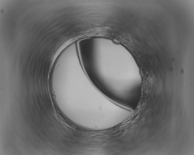 X0000066110100200603101013