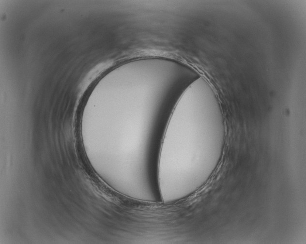 X0000066110104200603101013