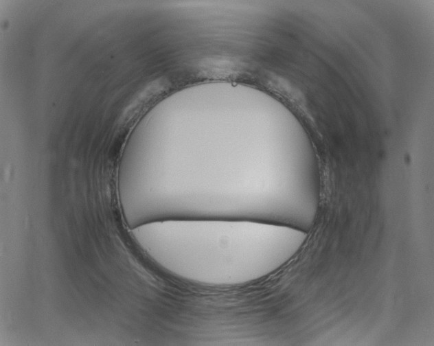 X0000066110114200603101013
