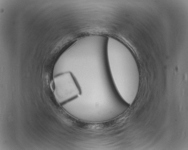 X0000066110117200603101013