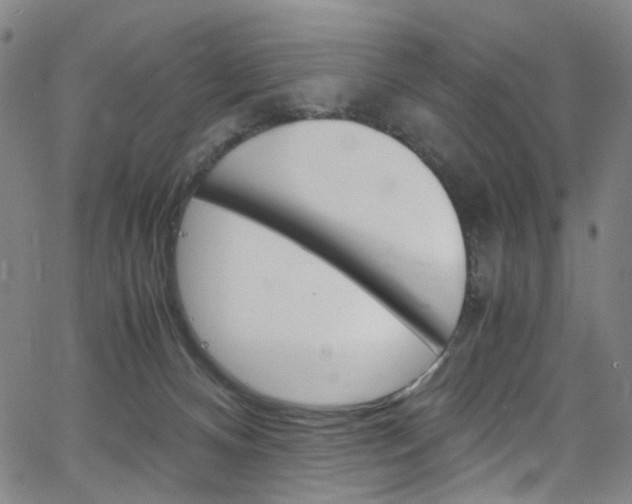 X0000066110128200603101013