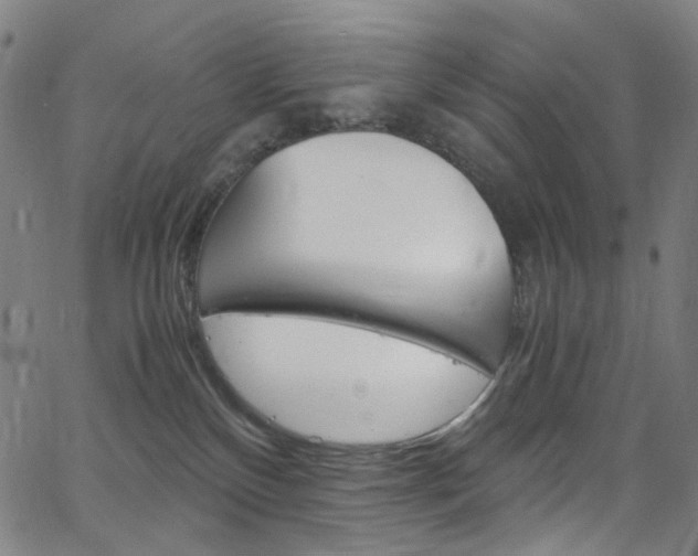 X0000066110136200603101013