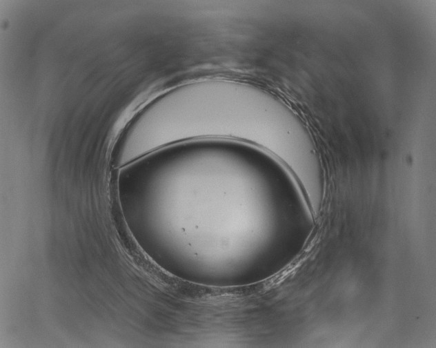 X0000066110150200603101012