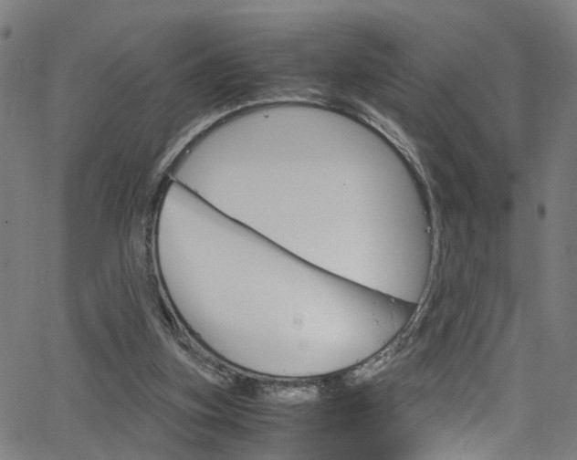 X0000066110155200603101012