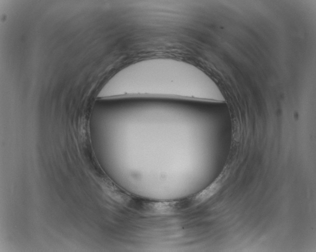 X0000066110184200603101012