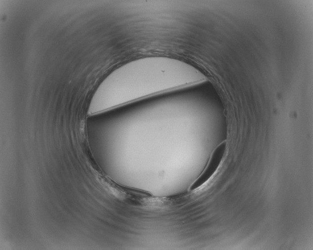 X0000066110192200603101013