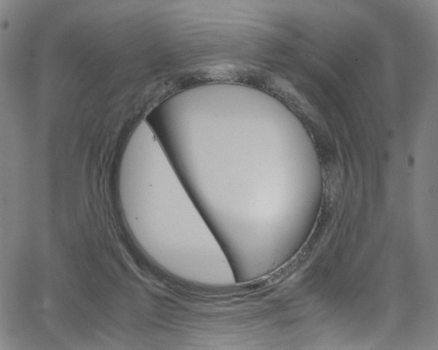 X0000066110213200603101012