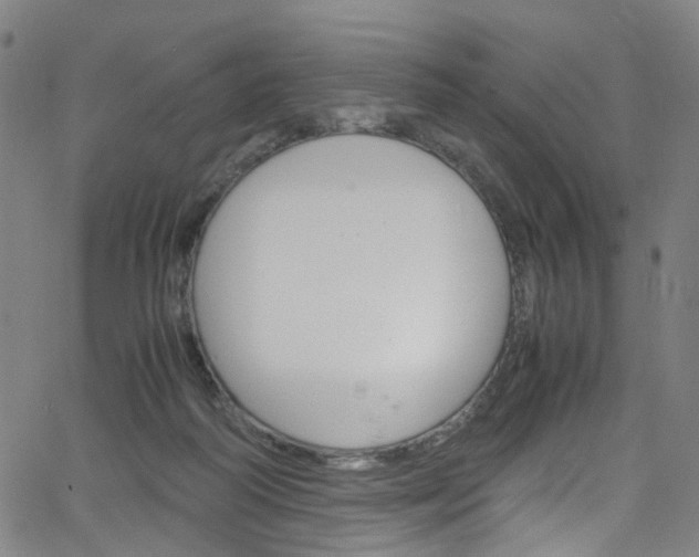 X0000066110218200603101011