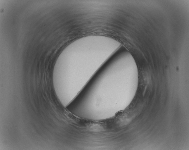 X0000066110224200603101011