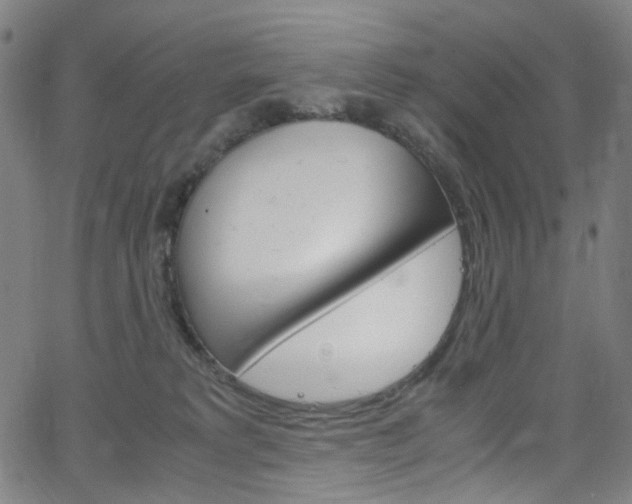 X0000066110229200603101011