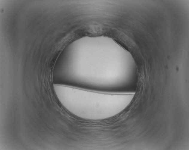 X0000066110233200603101011