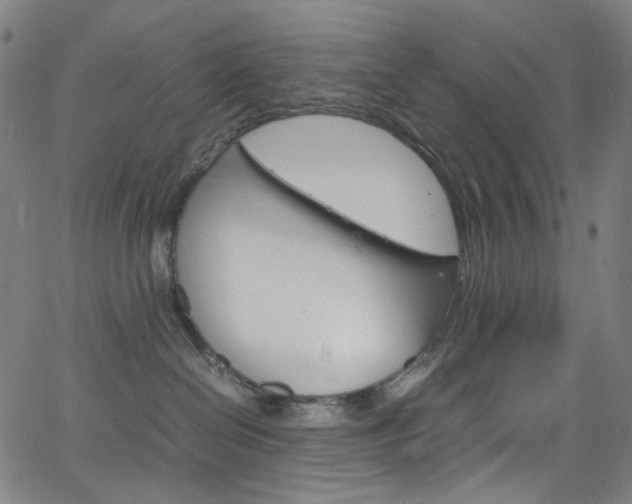 X0000066110286200603101011