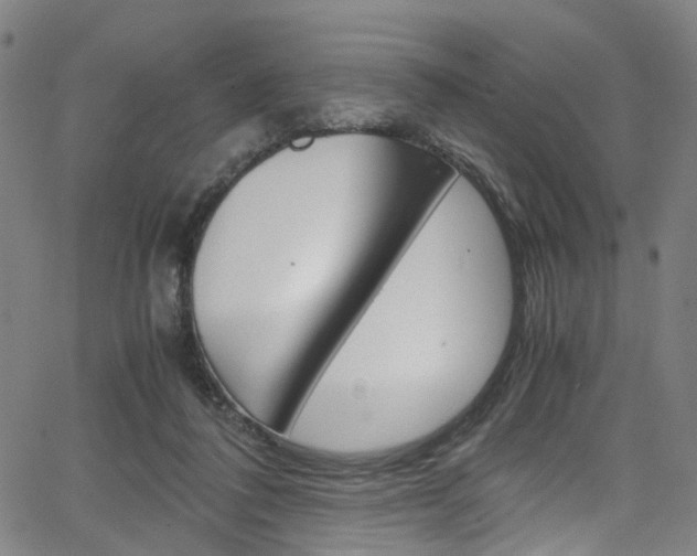 X0000066110308200603101010