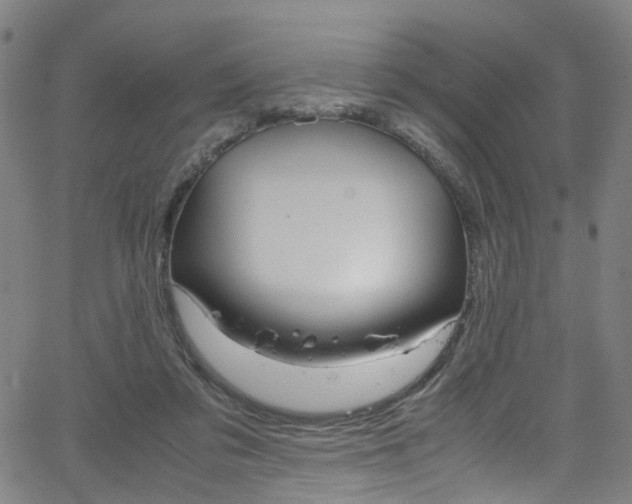 X0000066110309200603101010
