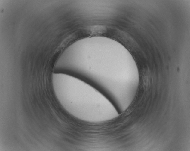 X0000066110316200603101010