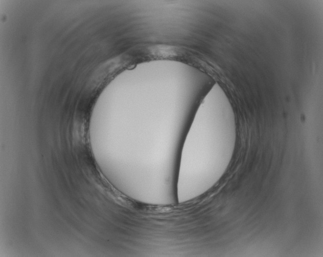 X0000066110330200603101010