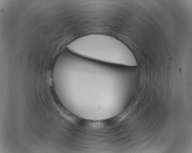 X0000066110383200603101009