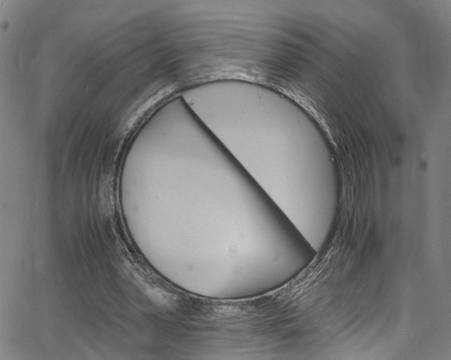 X0000066110390200603101009