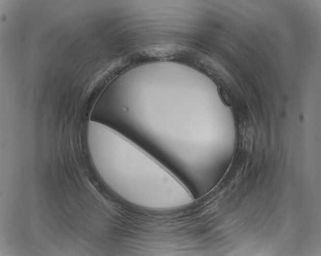 X0000066110404200603101008