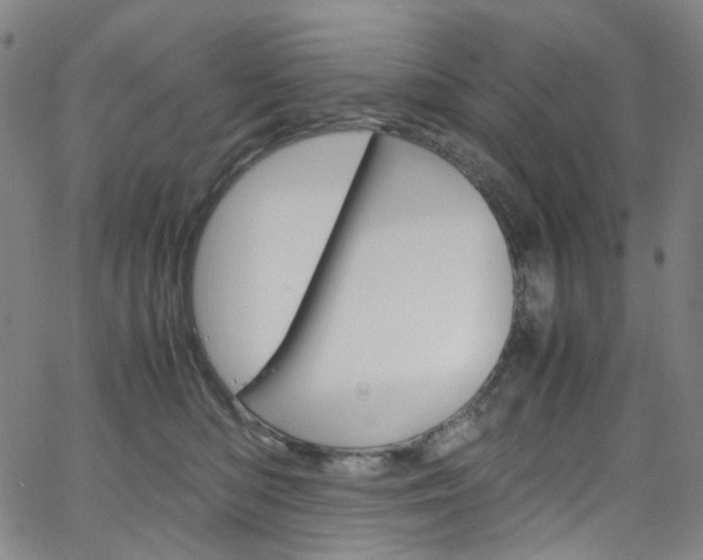 X0000066110422200603101008