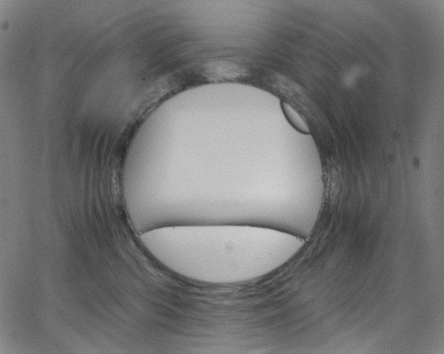 X0000066110426200603101008