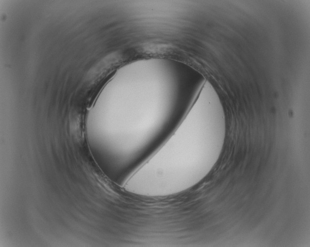 X0000066110428200603101008