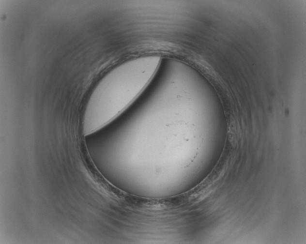 X0000066110454200603101008
