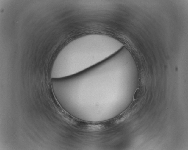 X0000066110457200603101008