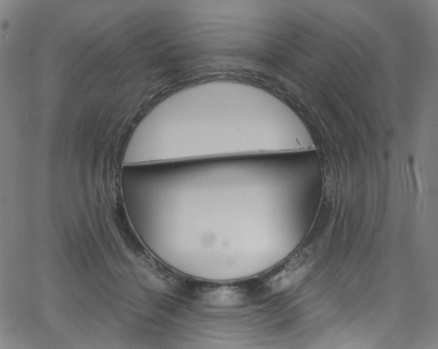X0000066110460200603101008