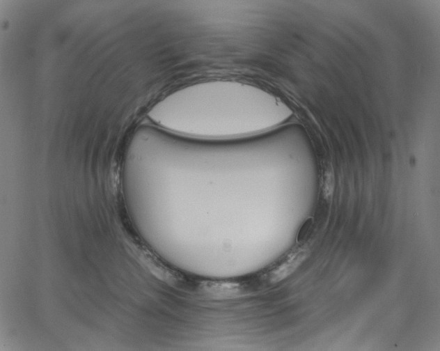 X0000066110476200603101008