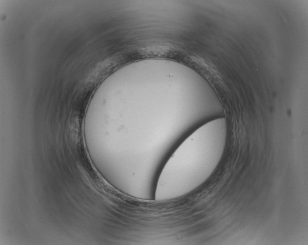 X0000066110498200603101007