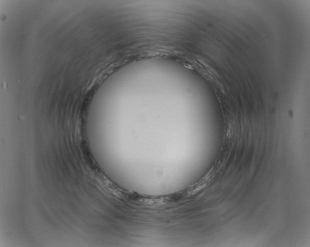 X0000066110524200603101006