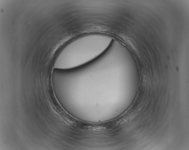X0000066110539200603101006