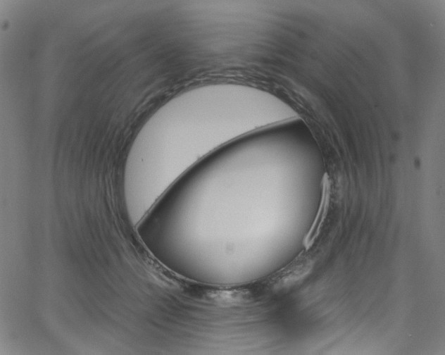 X0000066110558200603101006