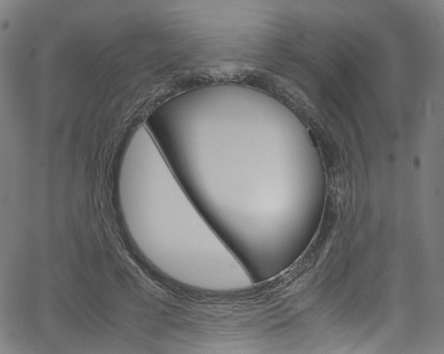 X0000066110593200603101005