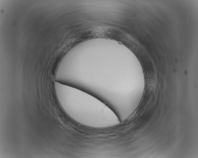 X0000066110603200603101005