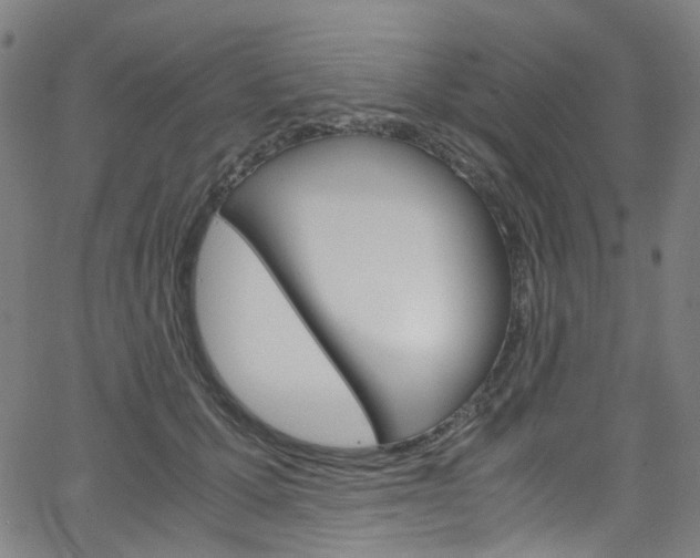 X0000066110607200603101005