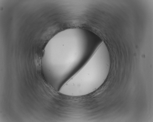 X0000066110624200603101005