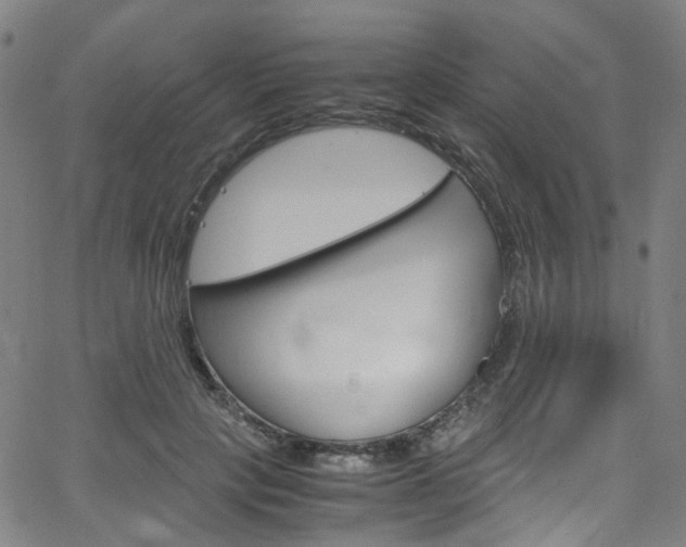 X0000066110649200603101004