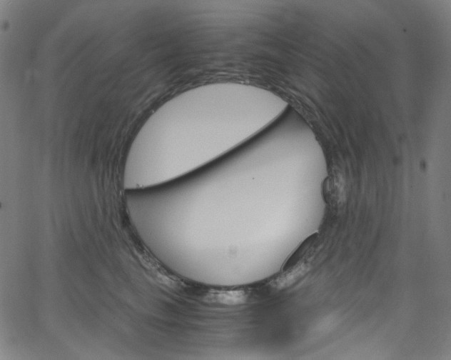 X0000066110665200603101005