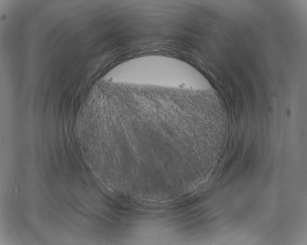 X0000066110671200603101005