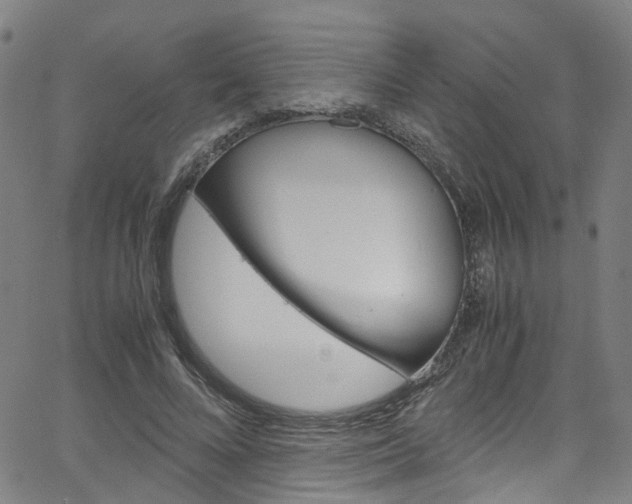 X0000066110688200603101004