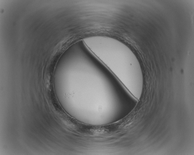 X0000066110693200603101004
